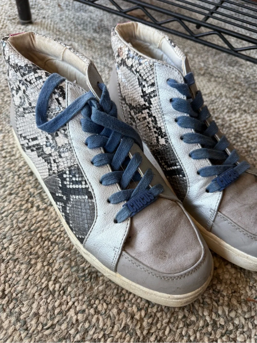 Circus by Sam Edelman Beige Snake-Print High-Top Sneakers with Blue Laces